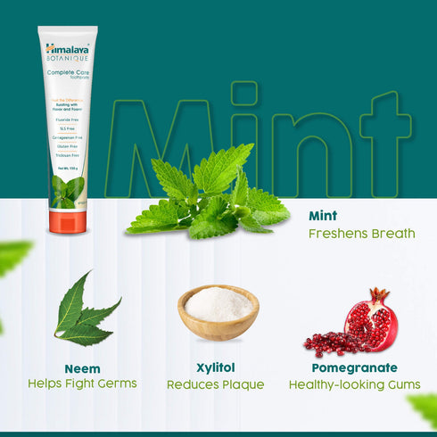 Himalaya Botanique Complete Care Toothpaste |Simply Mint